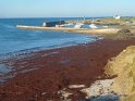 2015-10-01 10-09-38 St Gildas - Chateau de Suscinio MBo